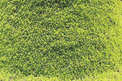 PC Gamer：《艾尔登法环》发售两个月了 PC优化仍然是一大拖累