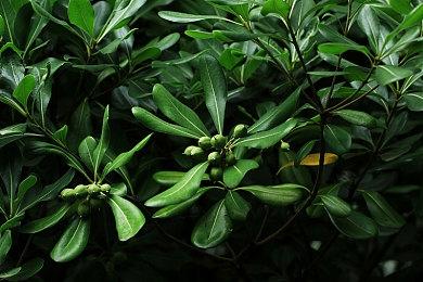 咋回事？《最终幻想7：重生》在日本销量下降约90%